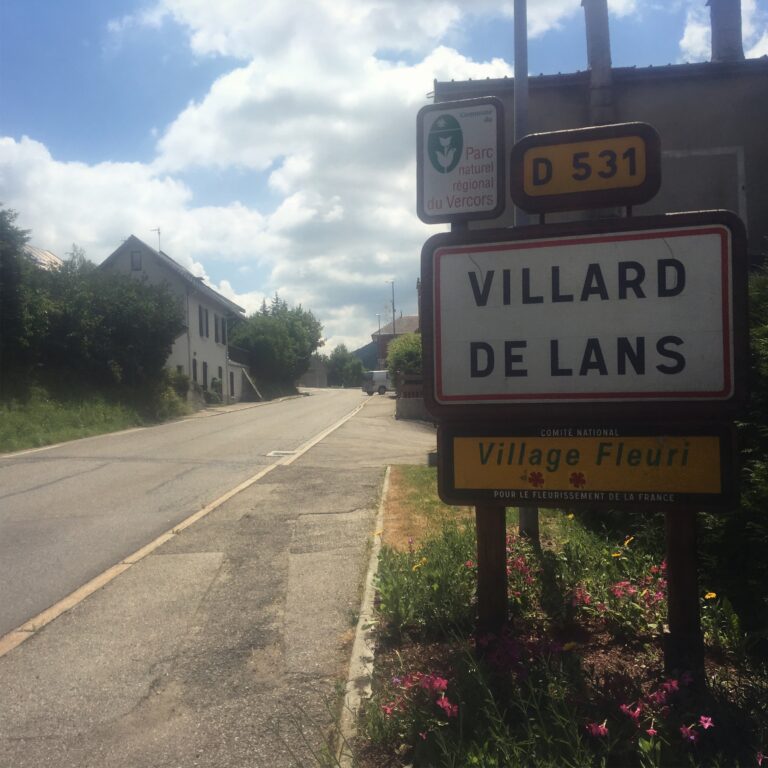 IMG_8687